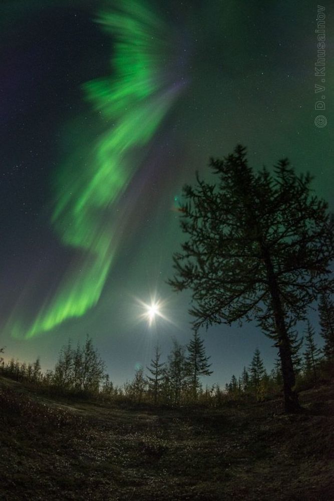 Aurora Borealis с луной 2012 #3