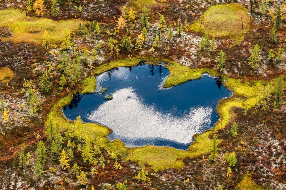 Осенние краски лесотундры