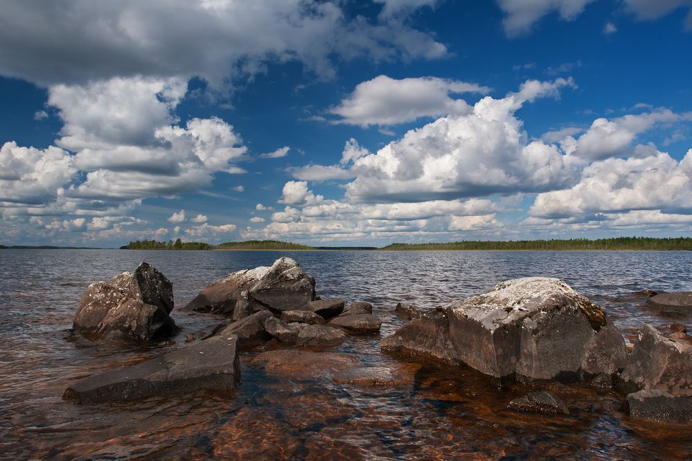 Летний день