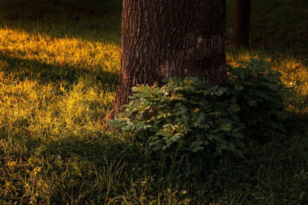 Photo 2900965