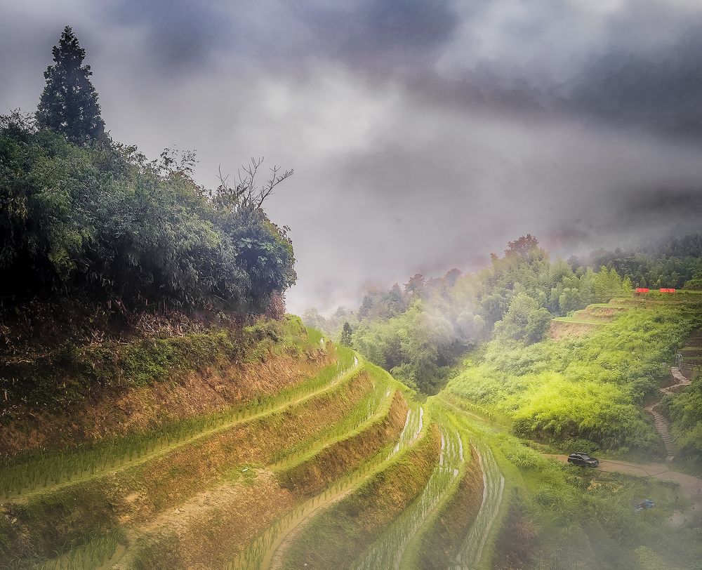 Longji Rice Terraces. Guilin. China