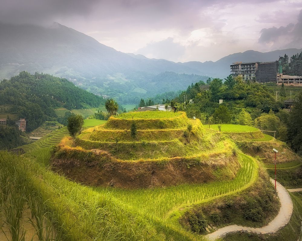 Longji Rice Terraces. Guilin. China