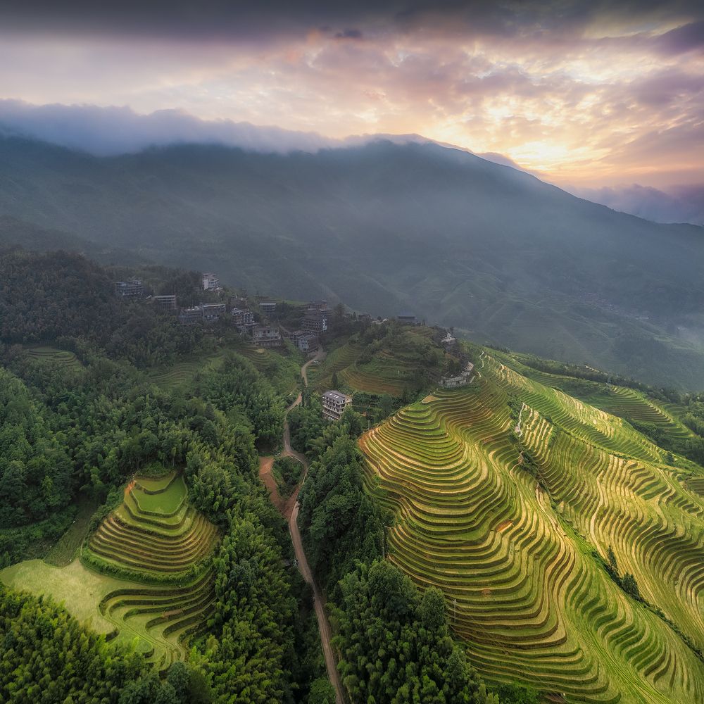 Longji Rice Terraces. Guilin. China