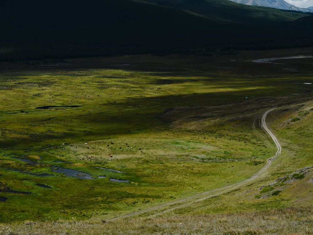 алтай