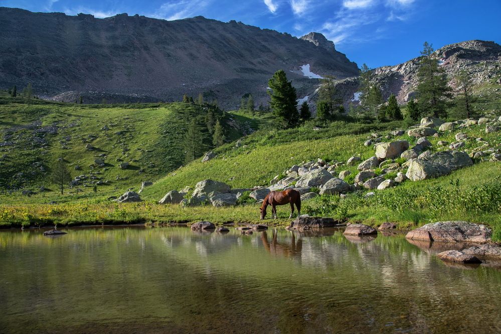 В горах Рудного Алтая