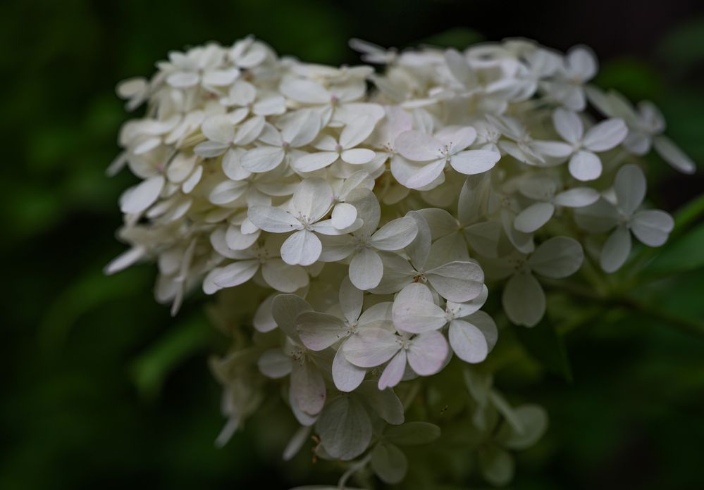 Photo 2902591