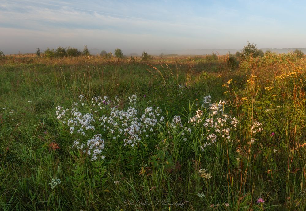 Конец лета на лугах