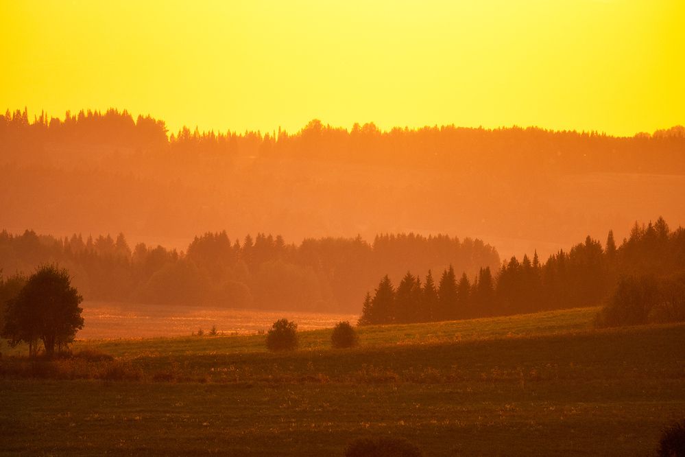 Церковь Александра Невского, село Бым