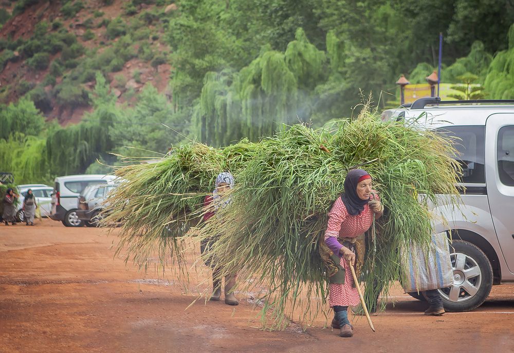 Мои марокканские истории, Ourika Valley