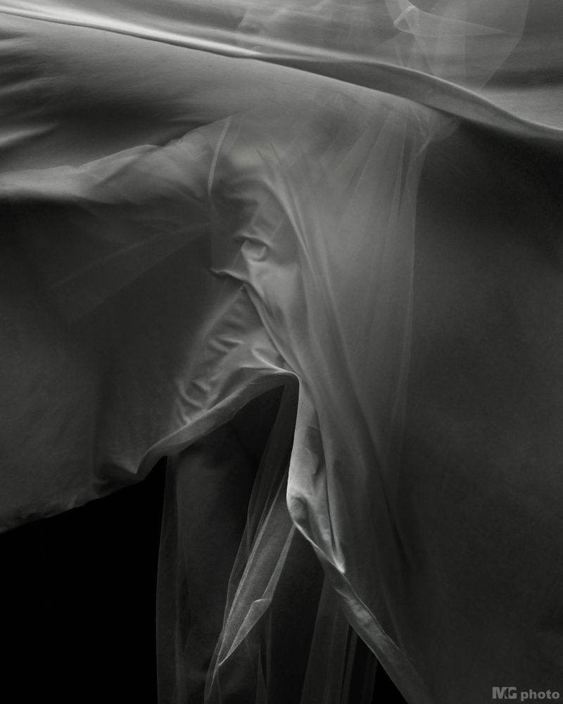 Noir Wind #3