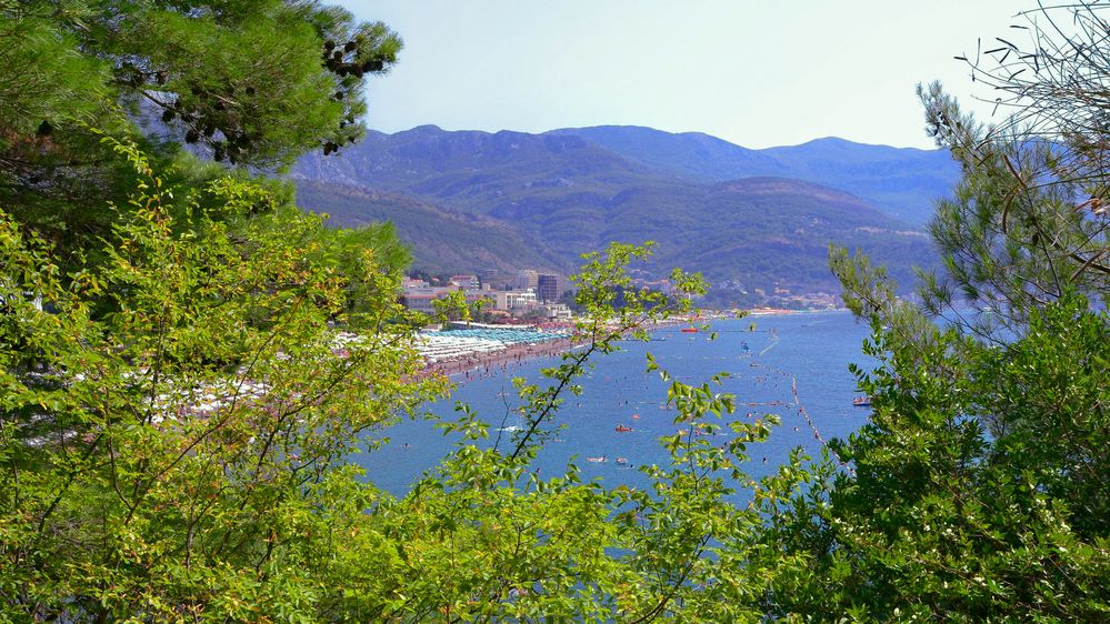 Адриатика