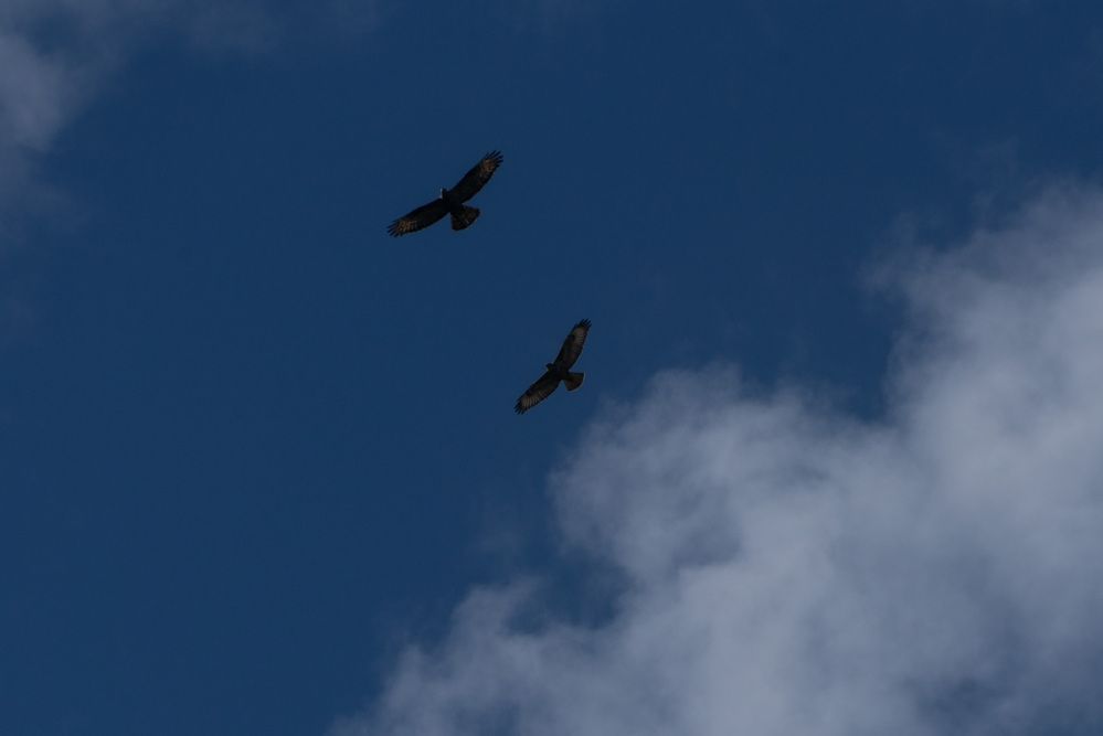 Photo 2906815