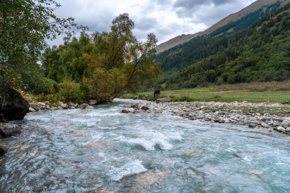 Photo 2906819