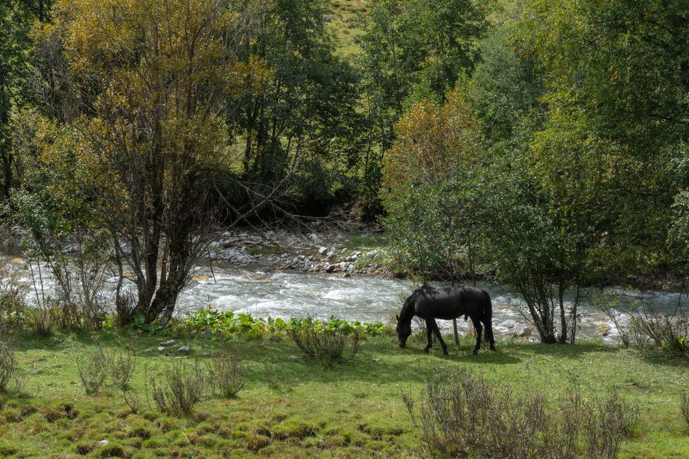 Photo 2906820