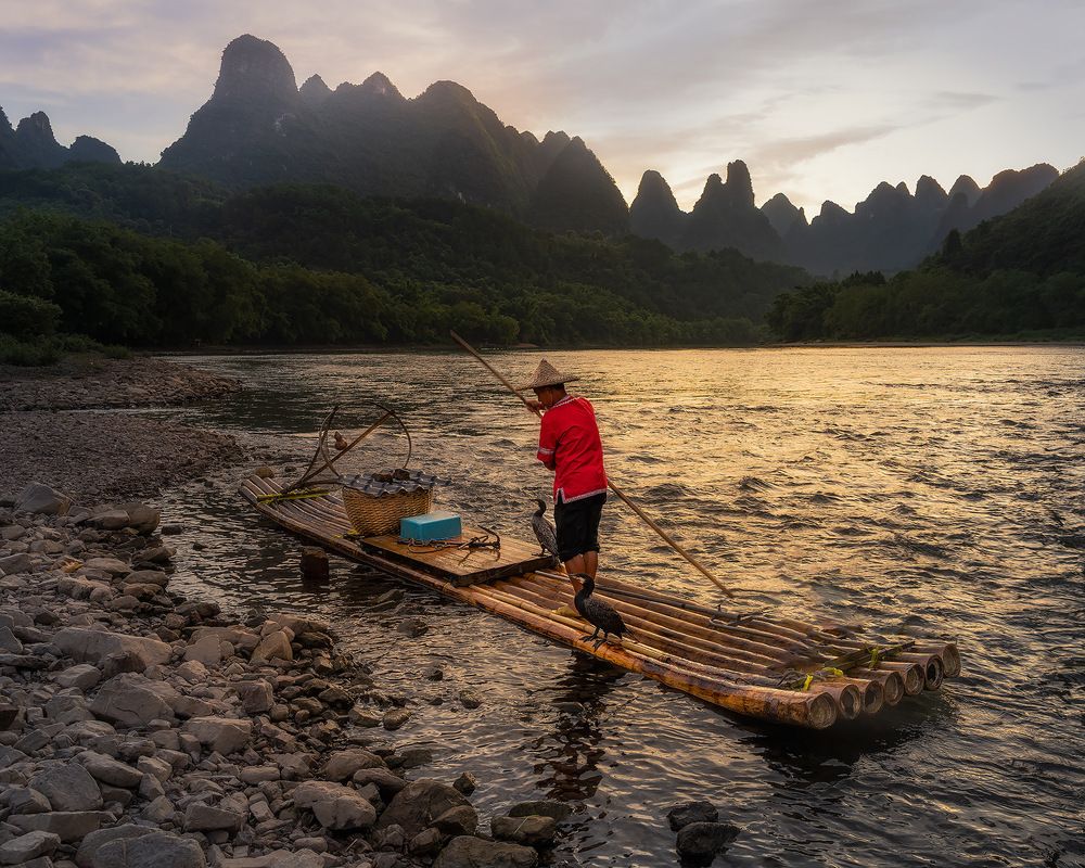 Sunset on the Lee River. A fisherman with cormorants