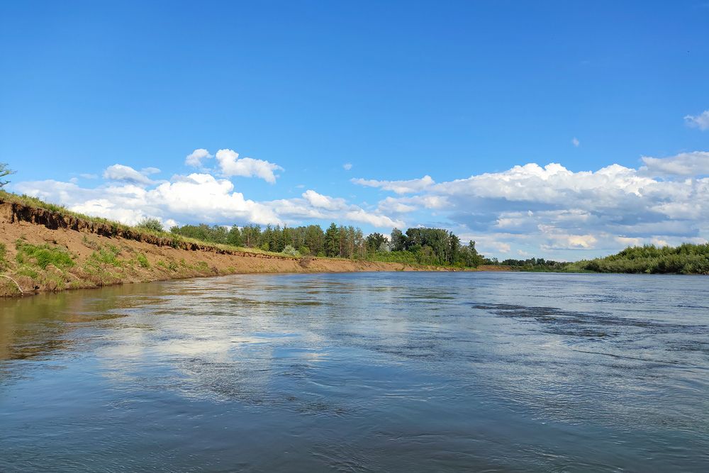 Зарисовки лета 