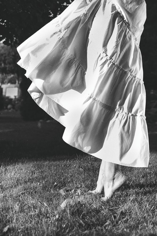 Photo 2908695