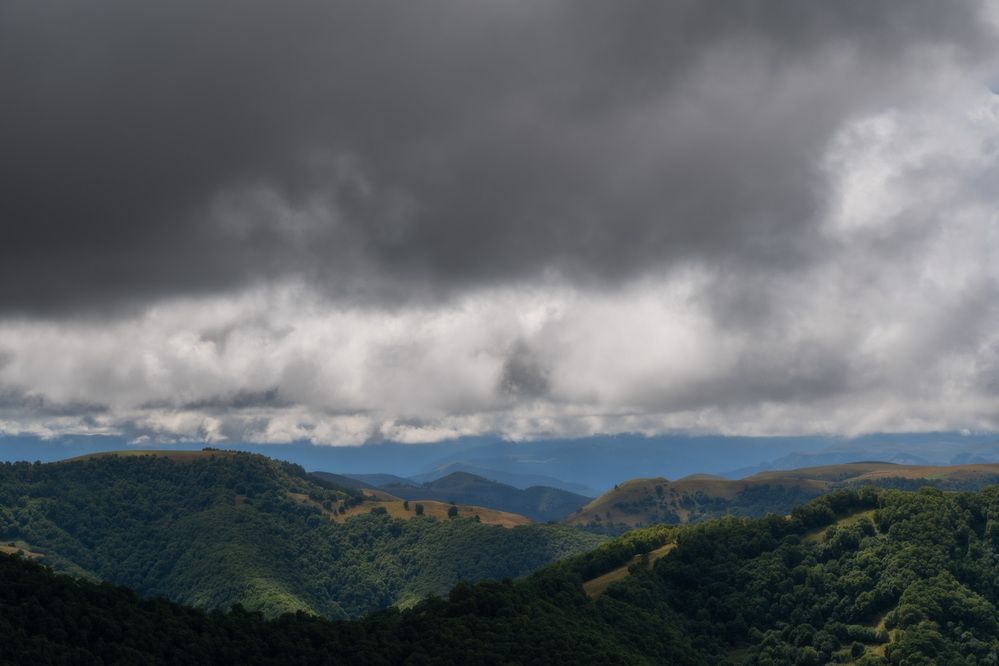 Photo 2908739