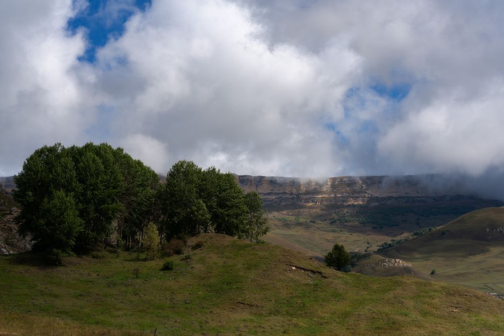 Photo 2908743