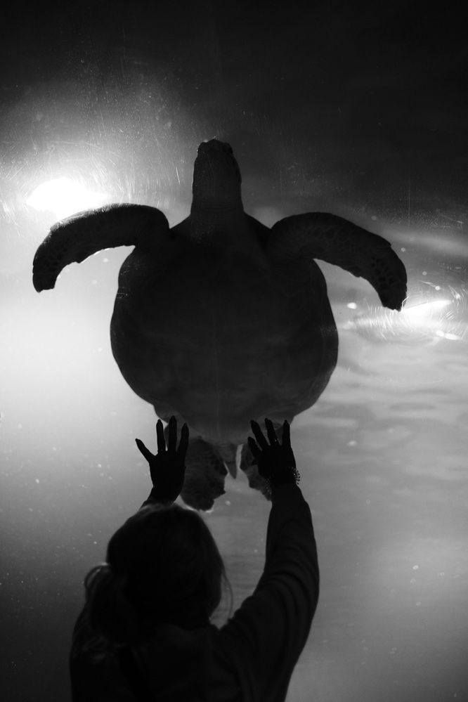 Photo 2909494