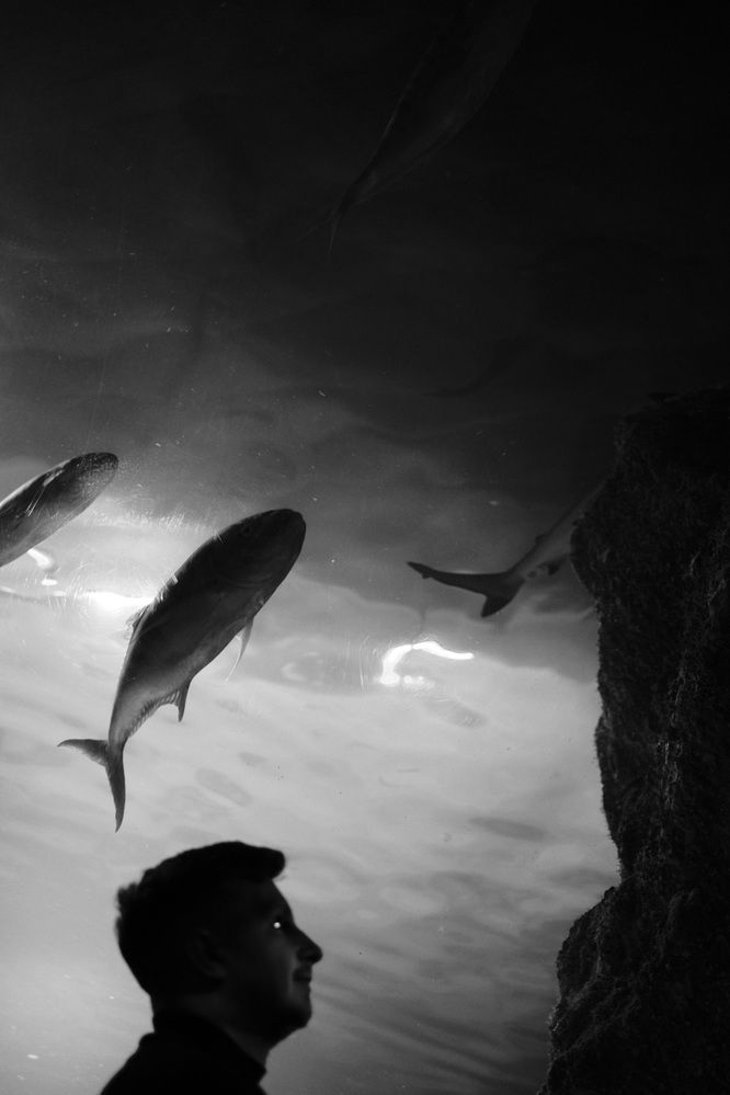 Photo 2909496