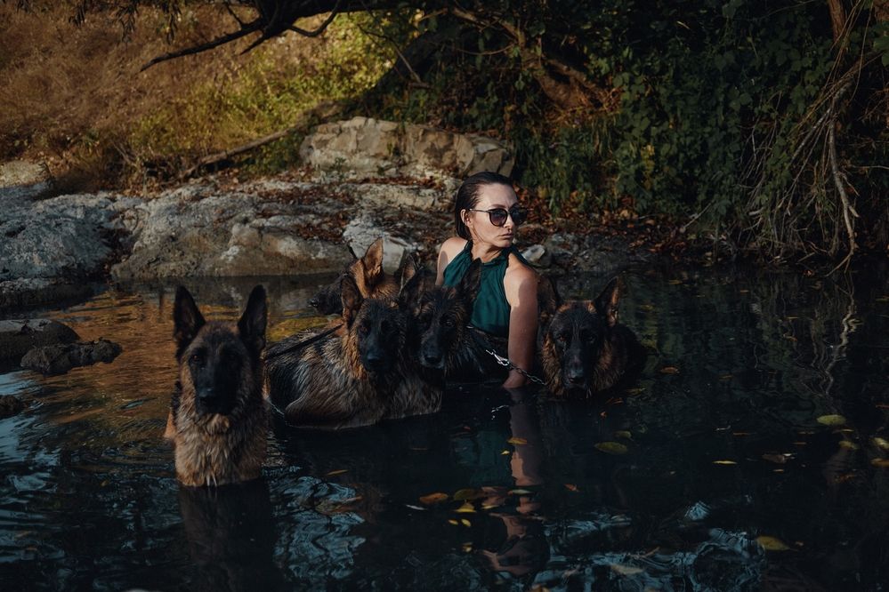 Когда твоя стая &mdash; твоя сила.