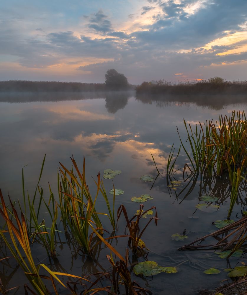 Гармония осени на Волге