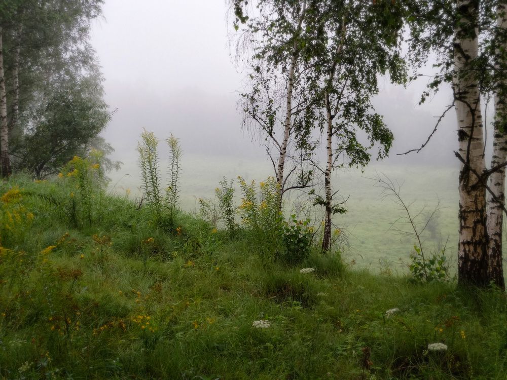 Photo 2910608