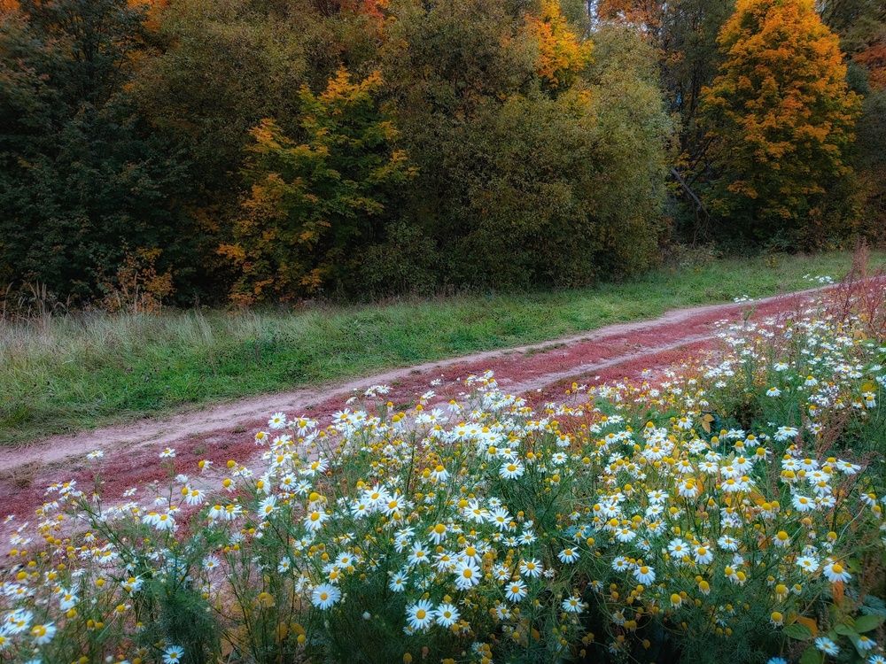 Photo 2910837