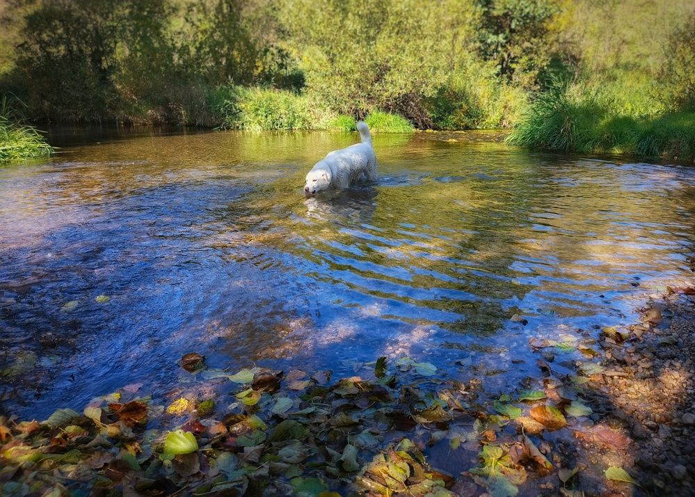 Photo 2910842
