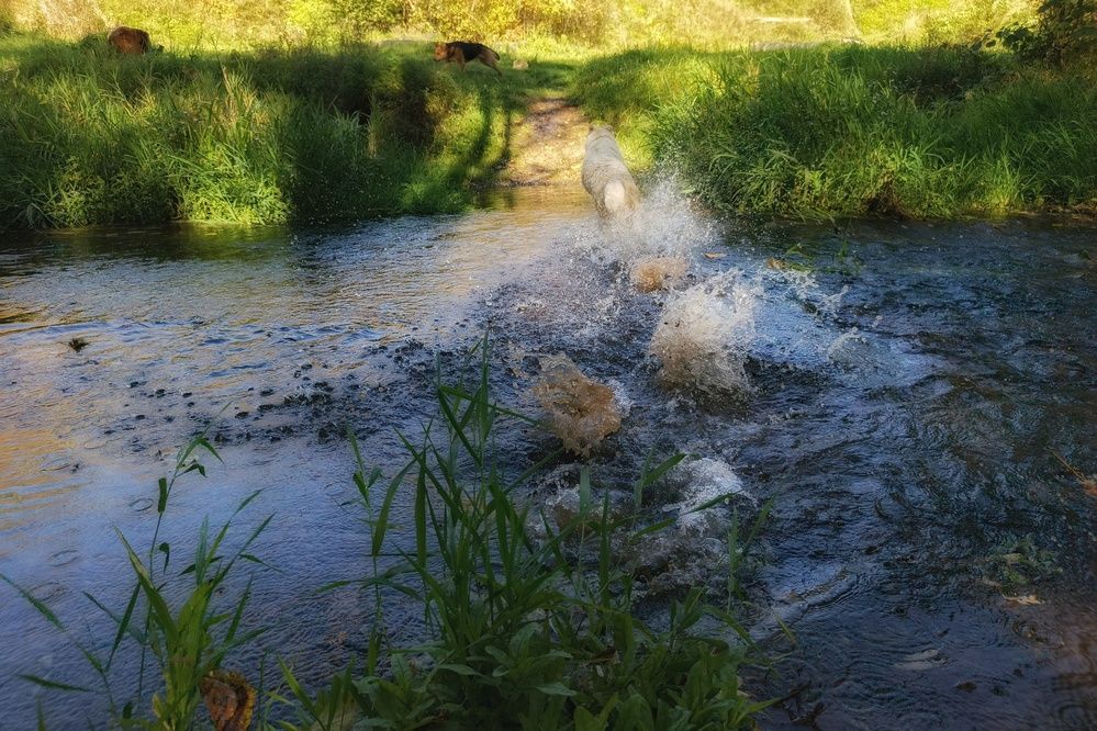 Photo 2910843