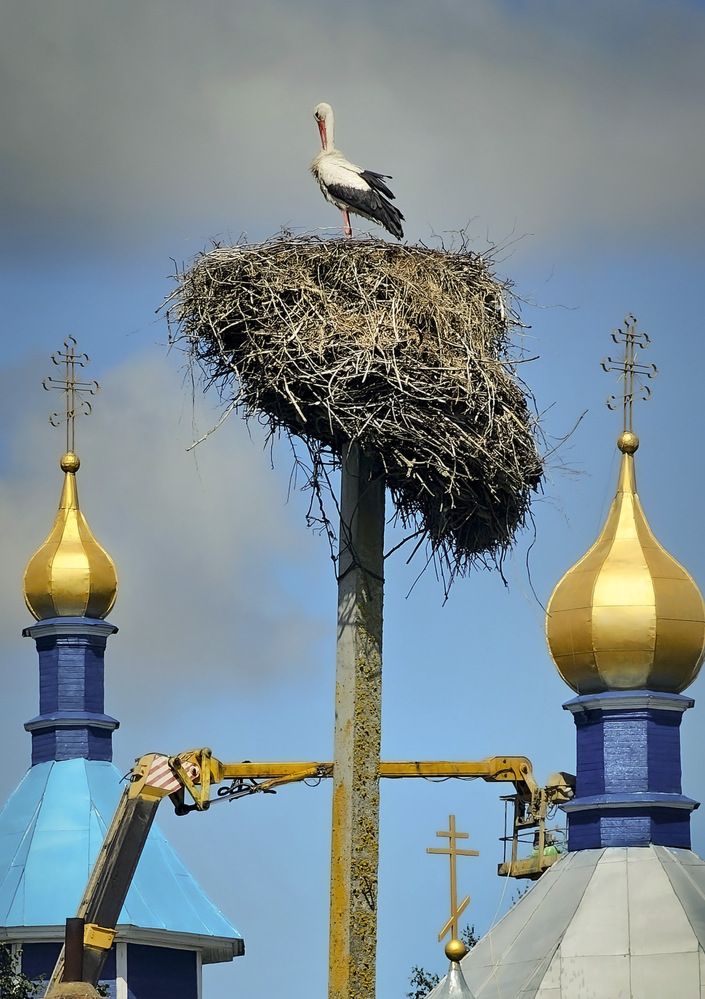 "Молодость моя..."