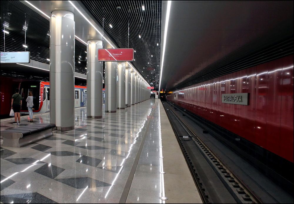 станция метро Некрасовка Москва