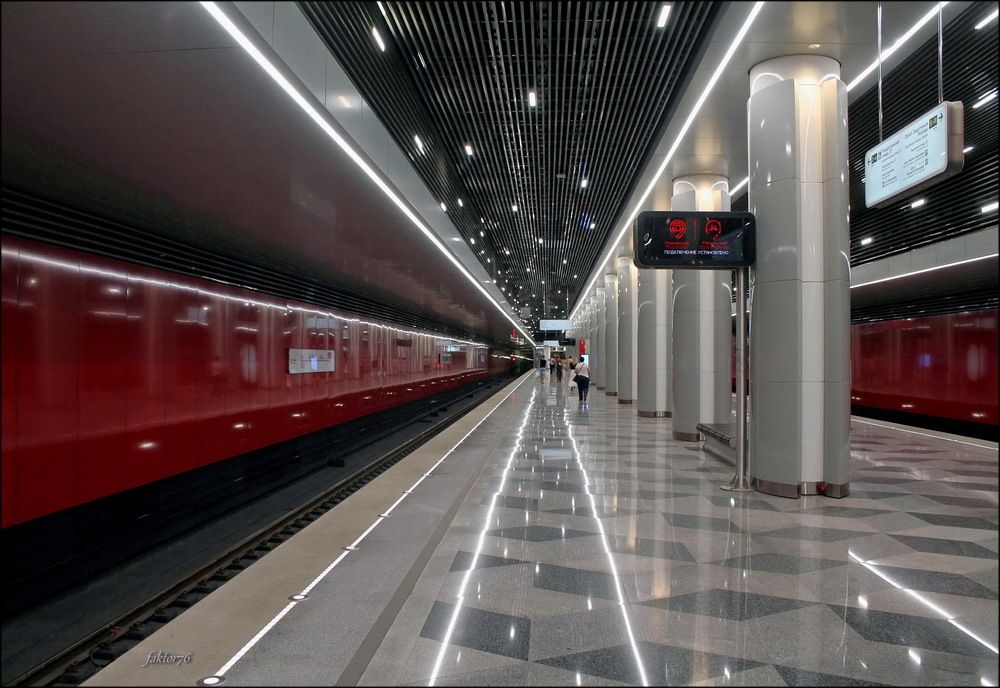 станция метро Некрасовка Москва