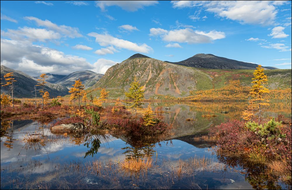 Тихая красота Джека