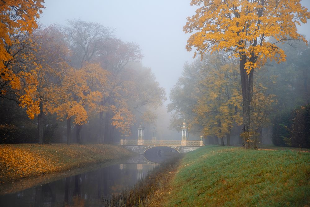 осень в Царском селе...