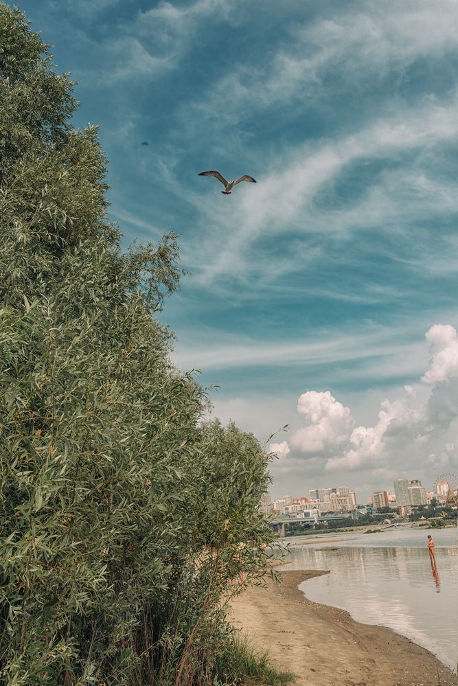 Новосибирск. Вид с левого берега