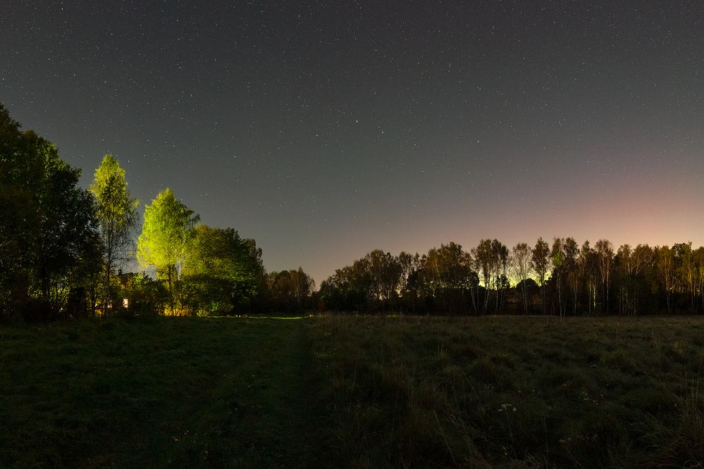 Photo 2914365