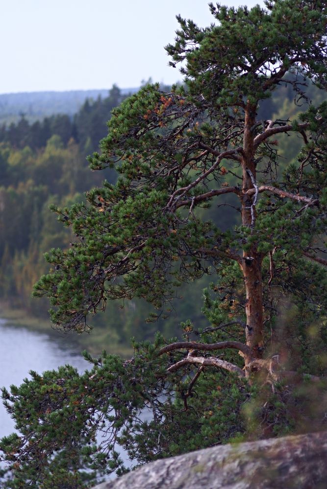 Тропами Карелии