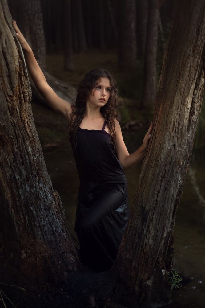 / Distance to Twilight___________/