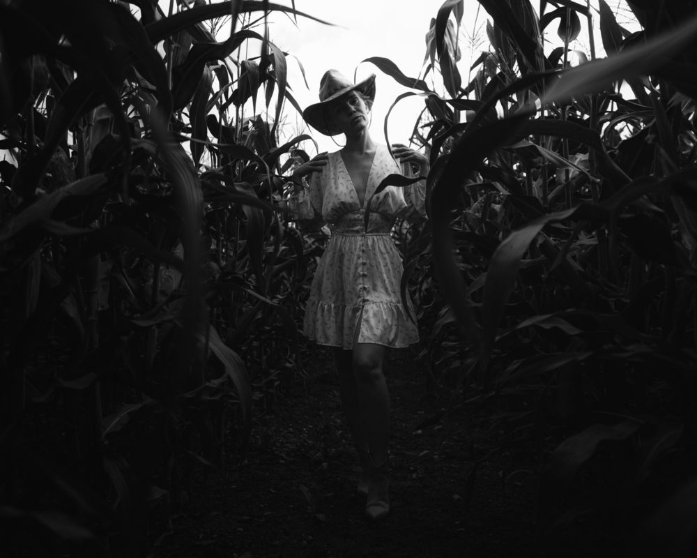 Photo 2914752