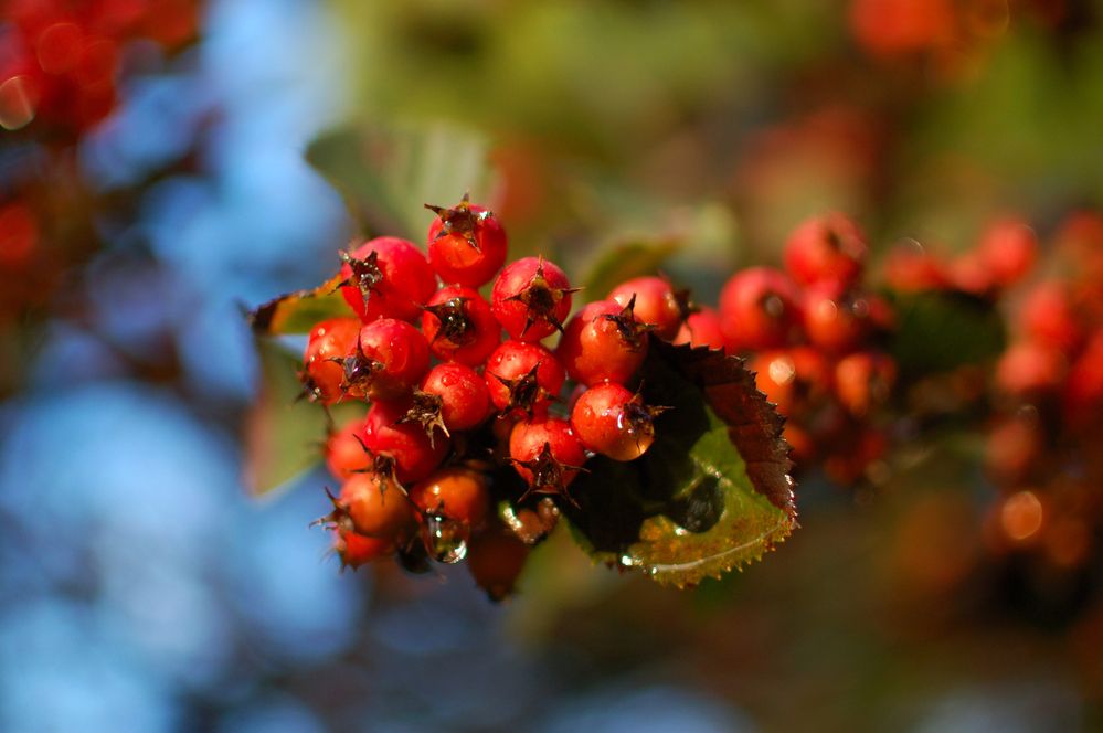 Photo 2915321