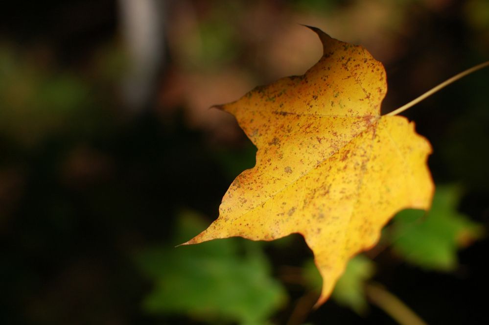 Photo 2915322