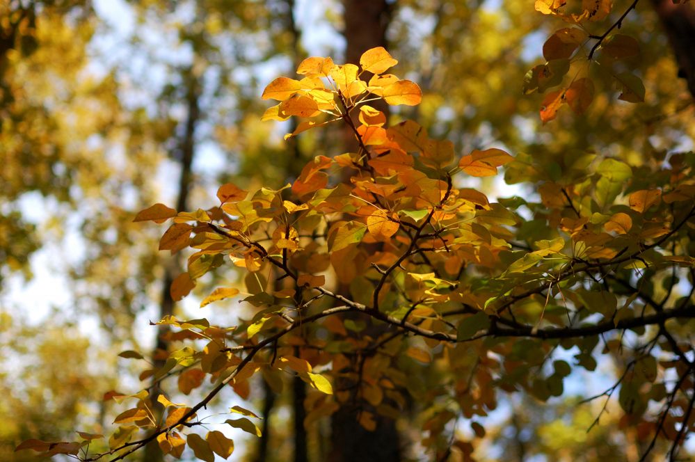 Photo 2915324