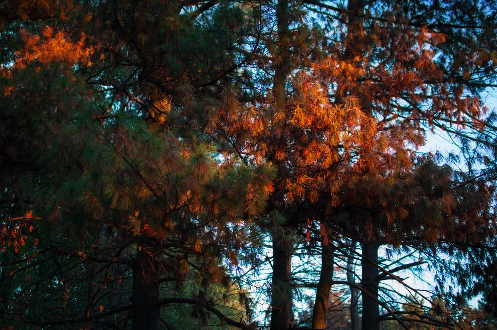 Photo 2915325