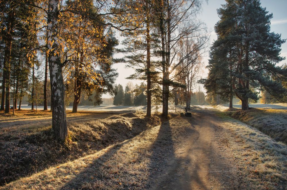 Павловский парк.. подморозило)