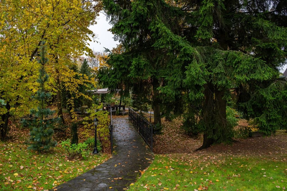 Осенние зарисовки во дворе