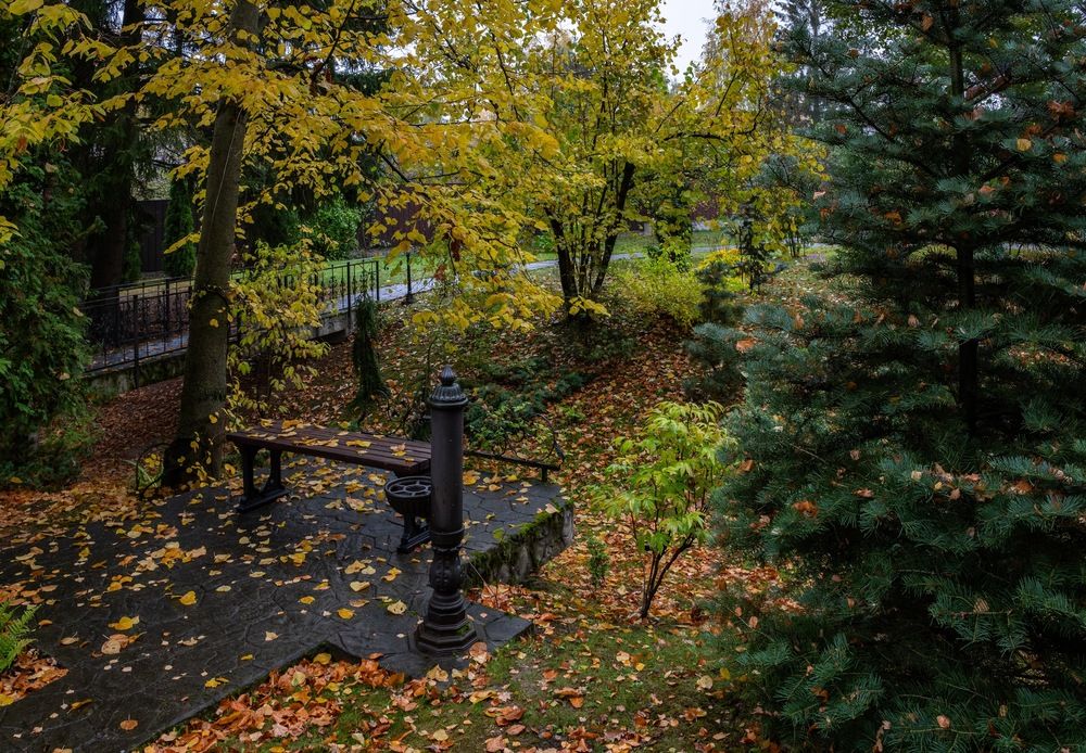 Осенние зарисовки во дворе