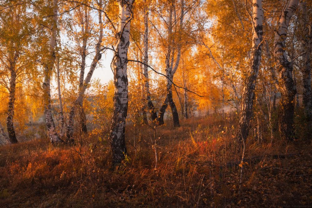 Осень в Башкирии