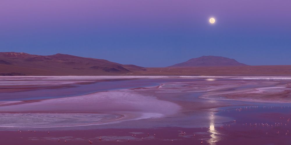 Laguna Colorada